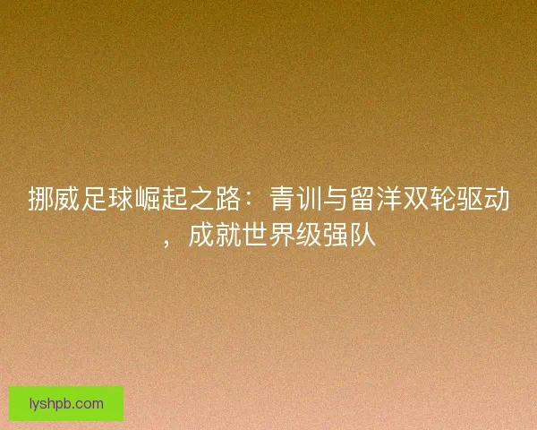 挪威足球崛起之路：青训与留洋双轮驱动，成就世界级强队