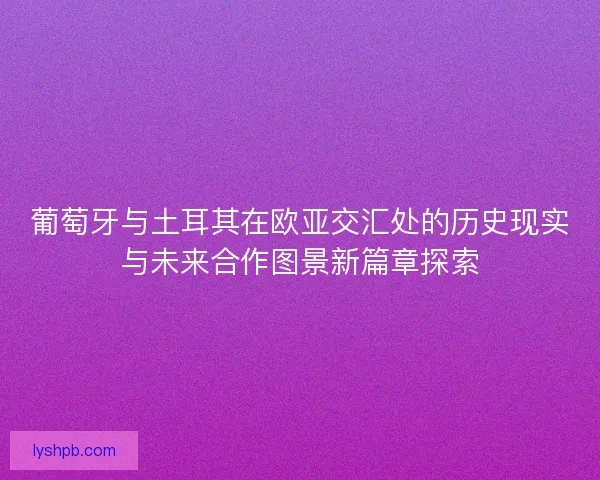 葡萄牙与土耳其在欧亚交汇处的历史现实与未来合作图景新篇章探索